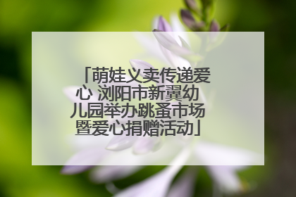 萌娃义卖传递爱心 浏阳市新翼幼儿园举办跳蚤市场暨爱心捐赠活动