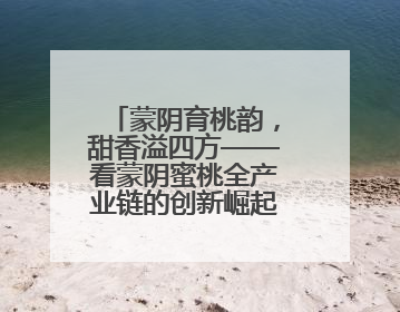 蒙阴育桃韵，甜香溢四方——看蒙阴蜜桃全产业链的创新崛起之路
