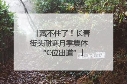 藏不住了！长春街头耐寒月季集体“C位出道”