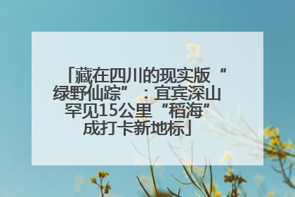 藏在四川的现实版“绿野仙踪”：宜宾深山罕见15公里“稻海”成打卡新地标
