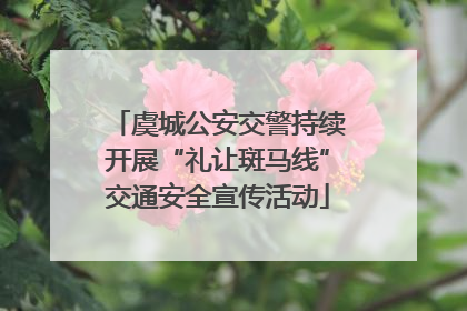 虞城公安交警持续开展“礼让斑马线”交通安全宣传活动