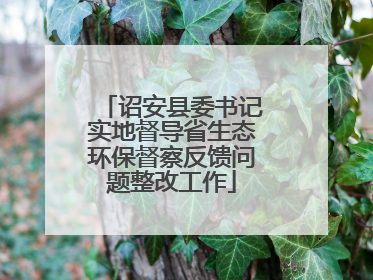 诏安县委书记实地督导省生态环保督察反馈问题整改工作