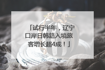 试行半年，辽宁口岸日韩籍入境旅客增长超4成！
