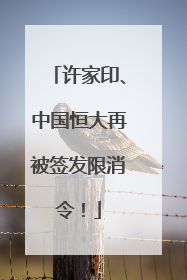 许家印、中国恒大再被签发限消令！