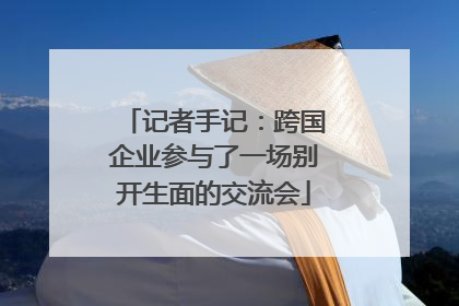 记者手记：跨国企业参与了一场别开生面的交流会