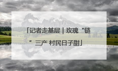 记者走基层｜玫瑰“链”三产 村民日子甜