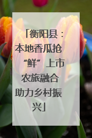 衡阳县：本地香瓜抢“鲜”上市 农旅融合助力乡村振兴