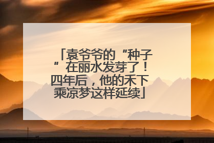 袁爷爷的“种子”在丽水发芽了！四年后，他的禾下乘凉梦这样延续