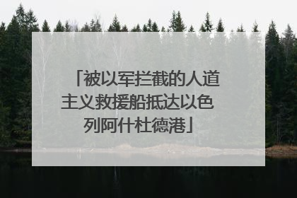 被以军拦截的人道主义救援船抵达以色列阿什杜德港
