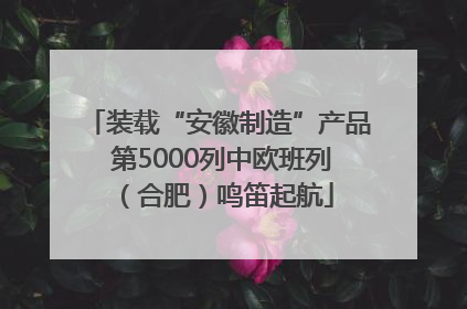装载“安徽制造”产品 第5000列中欧班列（合肥）鸣笛起航