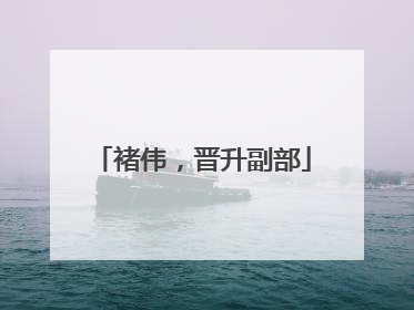 褚伟，晋升副部