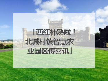 西红柿熟啦！北臧村镇智慧农业园区传喜讯