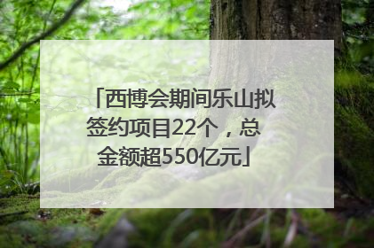 西博会期间乐山拟签约项目22个，总金额超550亿元