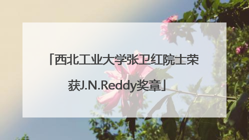 西北工业大学张卫红院士荣获J.N.Reddy奖章