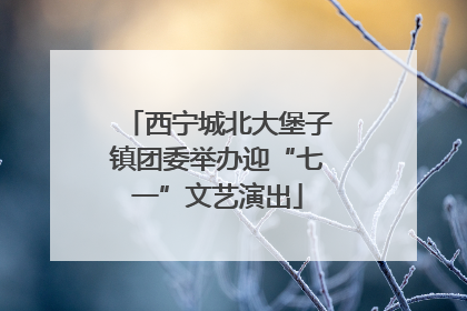 西宁城北大堡子镇团委举办迎“七一”文艺演出
