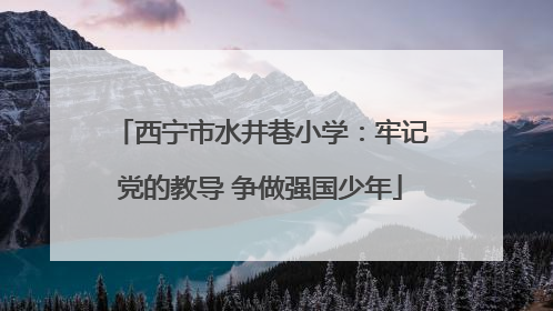 西宁市水井巷小学：牢记党的教导 争做强国少年