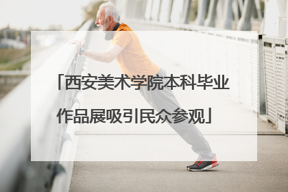 西安美术学院本科毕业作品展吸引民众参观