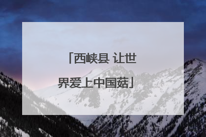 西峡县 让世界爱上中国菇