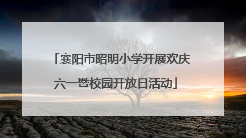 襄阳市昭明小学开展欢庆六一暨校园开放日活动