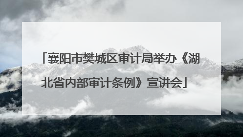 襄阳市樊城区审计局举办《湖北省内部审计条例》宣讲会