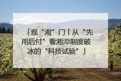 观“湘”门丨从“先用后付”看湘潭制度破冰的“科技试验”
