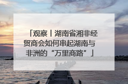 观察丨湖南省湘非经贸商会如何串起湖南与非洲的“万里商路”