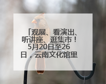 观展、看演出、听讲座、逛集市！5月20日至26日，云南文化馆里玩场多