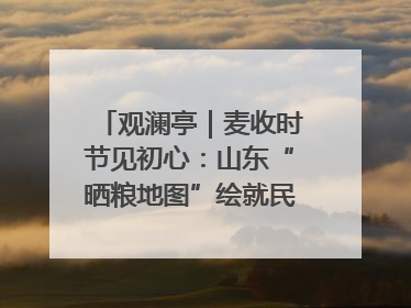 观澜亭｜麦收时节见初心：山东“晒粮地图”绘就民生温暖画卷