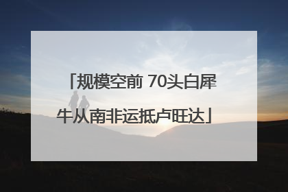 规模空前 70头白犀牛从南非运抵卢旺达