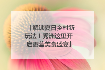 解锁夏日乡村新玩法！秀洲这里开启露营美食盛宴