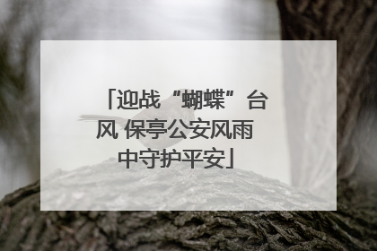 迎战“蝴蝶”台风 保亭公安风雨中守护平安
