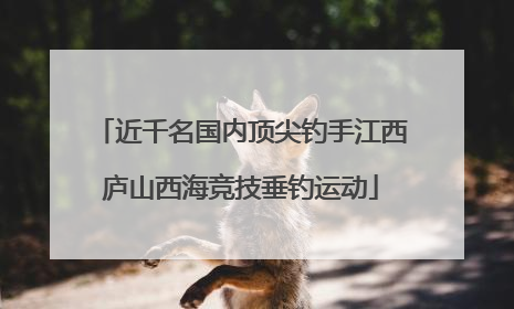 近千名国内顶尖钓手江西庐山西海竞技垂钓运动