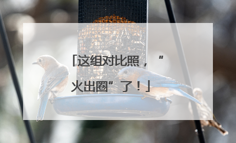 这组对比照，“火出圈”了！