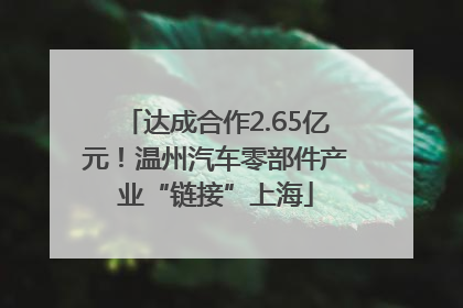 达成合作2.65亿元！温州汽车零部件产业“链接”上海
