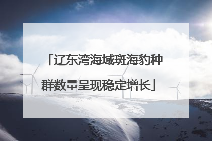 辽东湾海域斑海豹种群数量呈现稳定增长