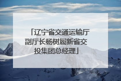 辽宁省交通运输厅副厅长杨树履新省交投集团总经理
