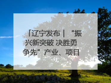 辽宁发布｜“振兴新突破 决胜勇争先”产业、项目、民生齐发力 葫芦岛按下决胜之年“加速键”