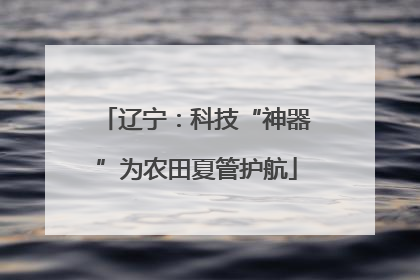 辽宁：科技“神器”为农田夏管护航