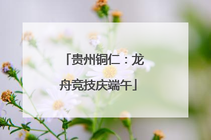 贵州铜仁：龙舟竞技庆端午