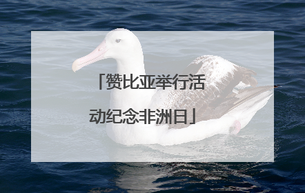 赞比亚举行活动纪念非洲日