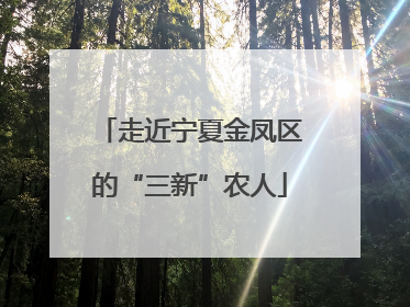走近宁夏金凤区的“三新”农人