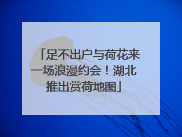 足不出户与荷花来一场浪漫约会！湖北推出赏荷地图