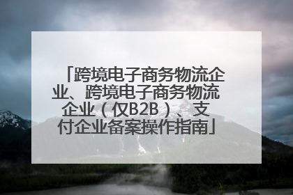 跨境电子商务物流企业、跨境电子商务物流企业（仅B2B）、支付企业备案操作指南