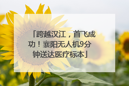 跨越汉江，首飞成功！襄阳无人机9分钟送达医疗标本