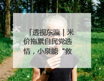 透视东瀛｜米价拖累自民党选情，小泉能“救”石破茂吗