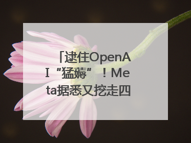 逮住OpenAI“猛薅”！Meta据悉又挖走四位知名研究人员