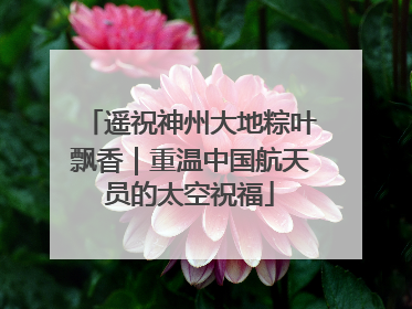 遥祝神州大地粽叶飘香｜重温中国航天员的太空祝福