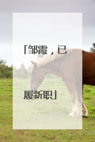 邹霞，已履新职
