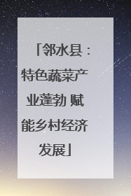 邻水县：特色蔬菜产业蓬勃 赋能乡村经济发展