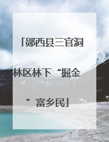 郧西县三官洞林区林下“掘金”富乡民